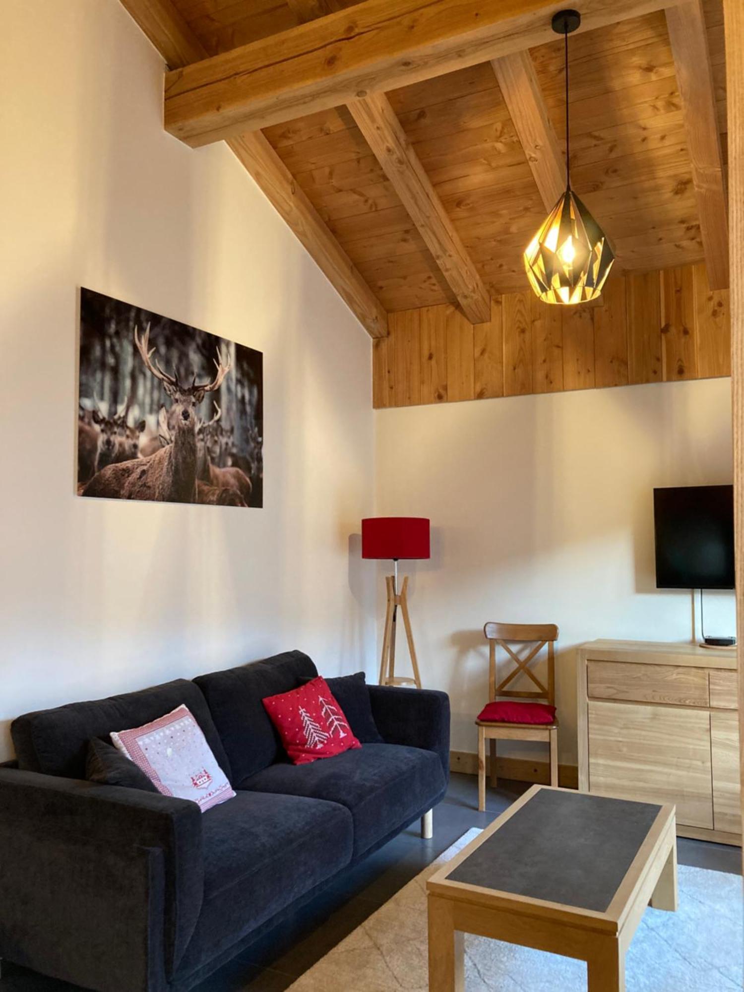 Appartement Reve De Montagne ซาโมอ็องส์ ภายนอก รูปภาพ